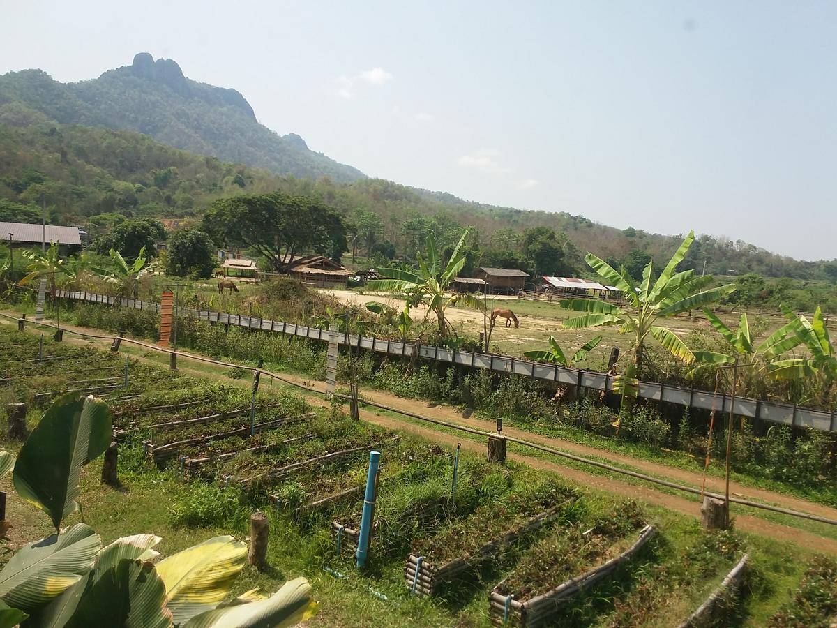 Him Doy Muang Pan Resort ฮิมดอยเมืองปานรีสอร์ท Ban Sop Pan Eksteriør billede